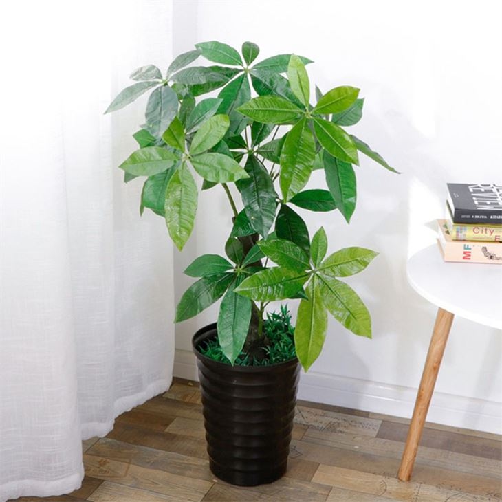 Keinotekoinen rahapuukasvi Bonsai